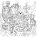 Octopus adult coloring book page Royalty Free Stock Photo